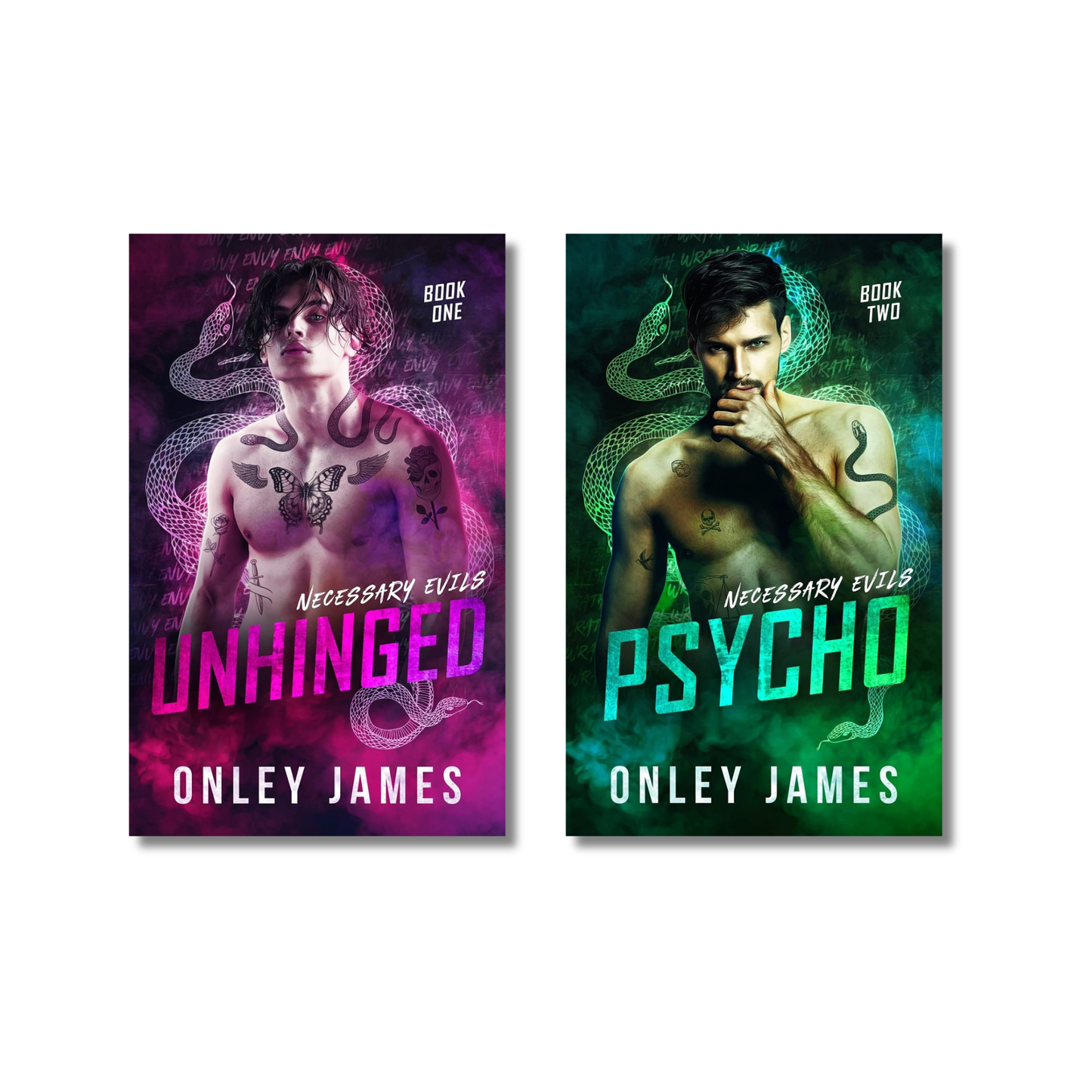 (Combo 2 Books) Necessary Evils Series (Book 1 and 2) By Onley James (Paperback)