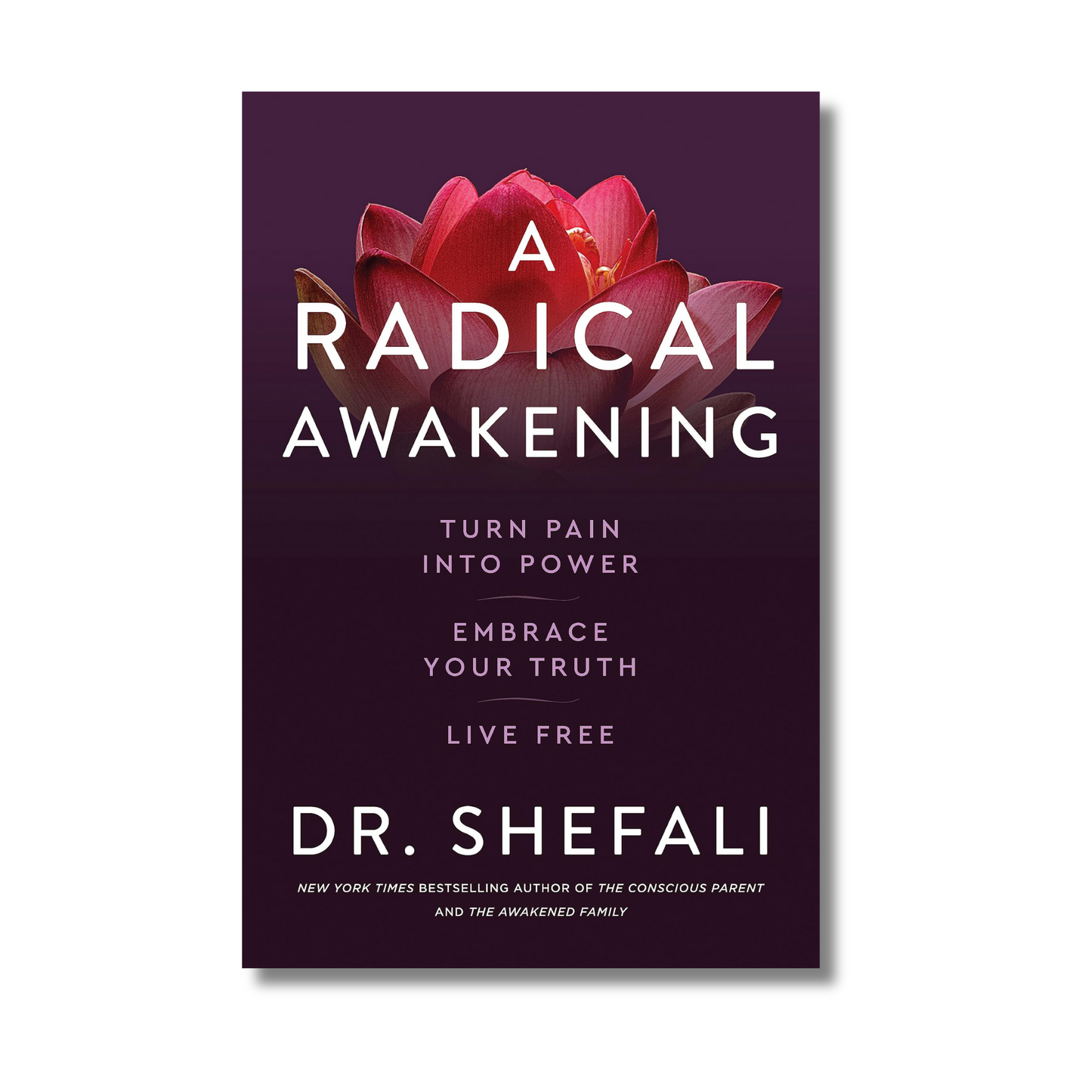 A Radical Awakening By Dr Shefali Tsabar (Paperback)
