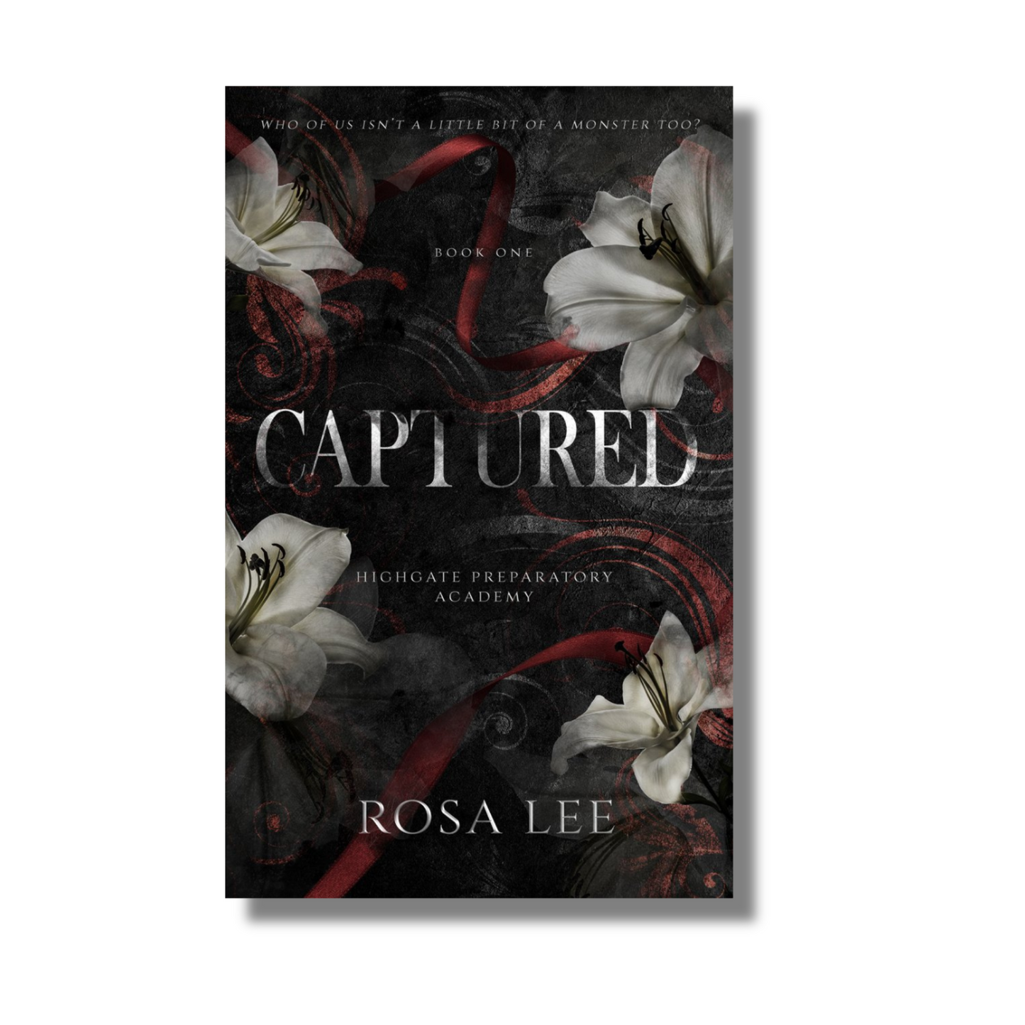 Captured By Rosa Lee (Paperback)