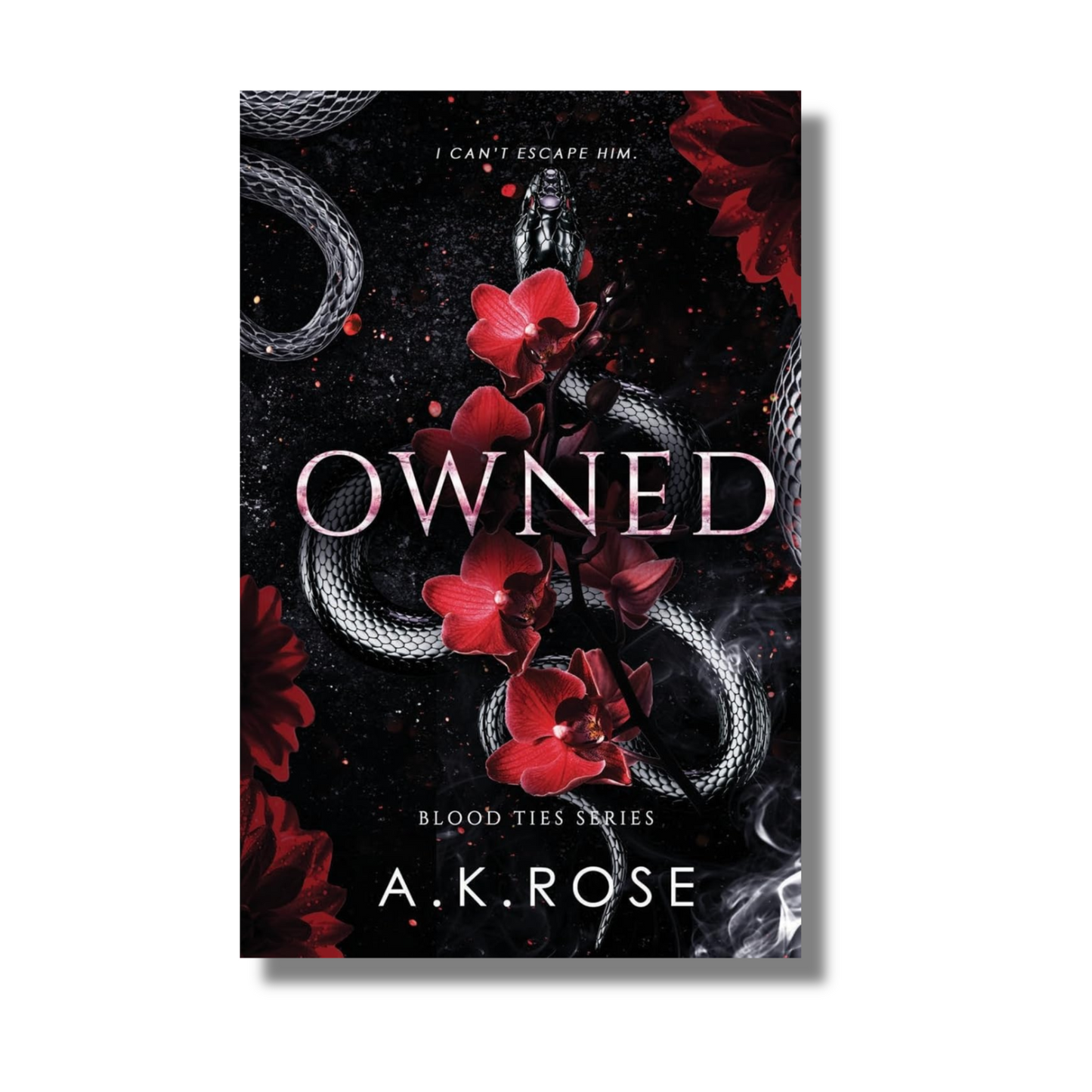 Owned By A.K. Rose (Paperback)