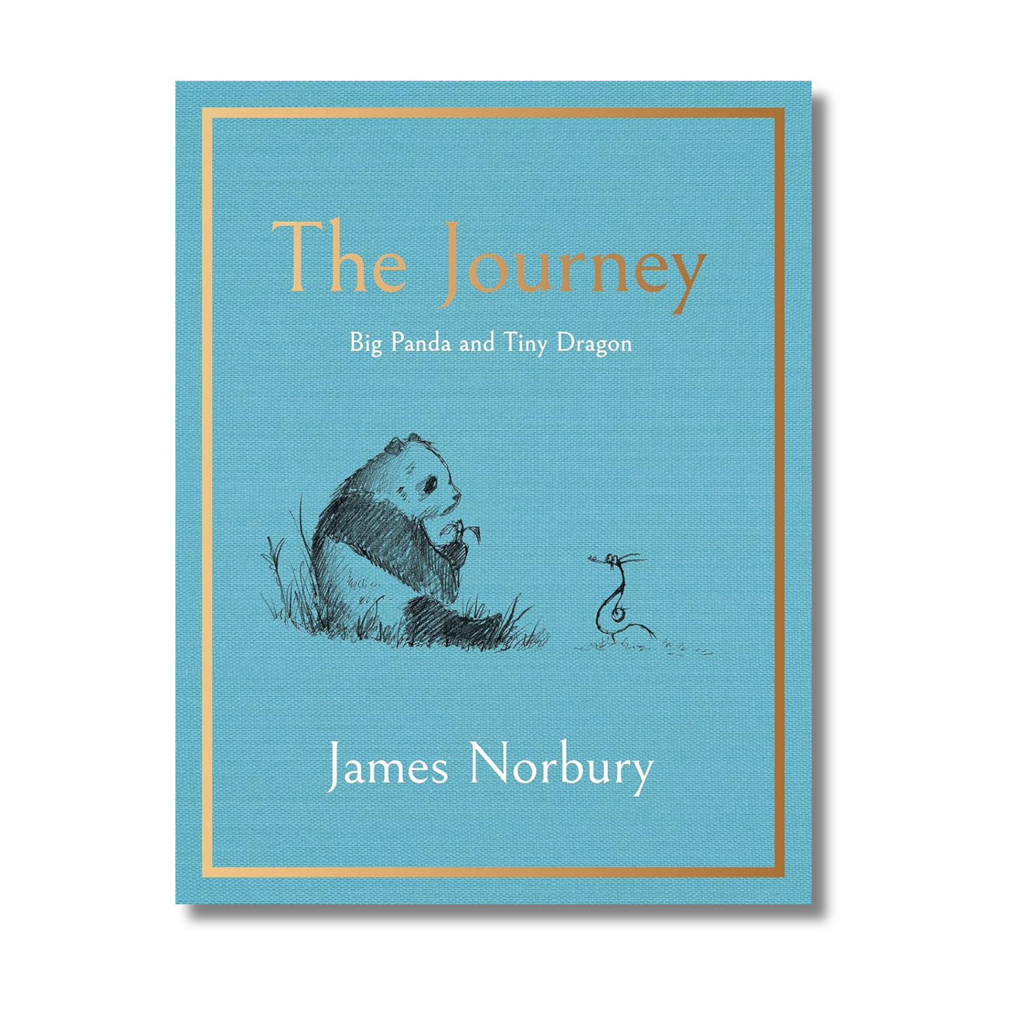 The Journey A Big Panda and Tiny Dragon Adventure By James Norbury (Paperback)
