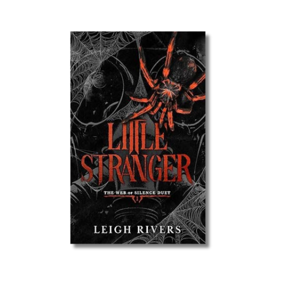 Little Stranger By Leigh Rivers (Paperback)