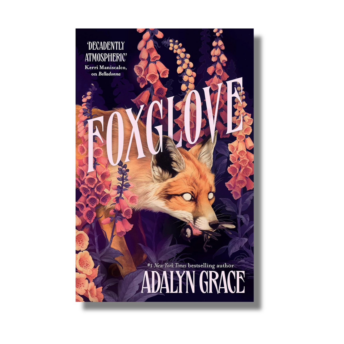 Foxglove By Adalyn Grace (Paperback)