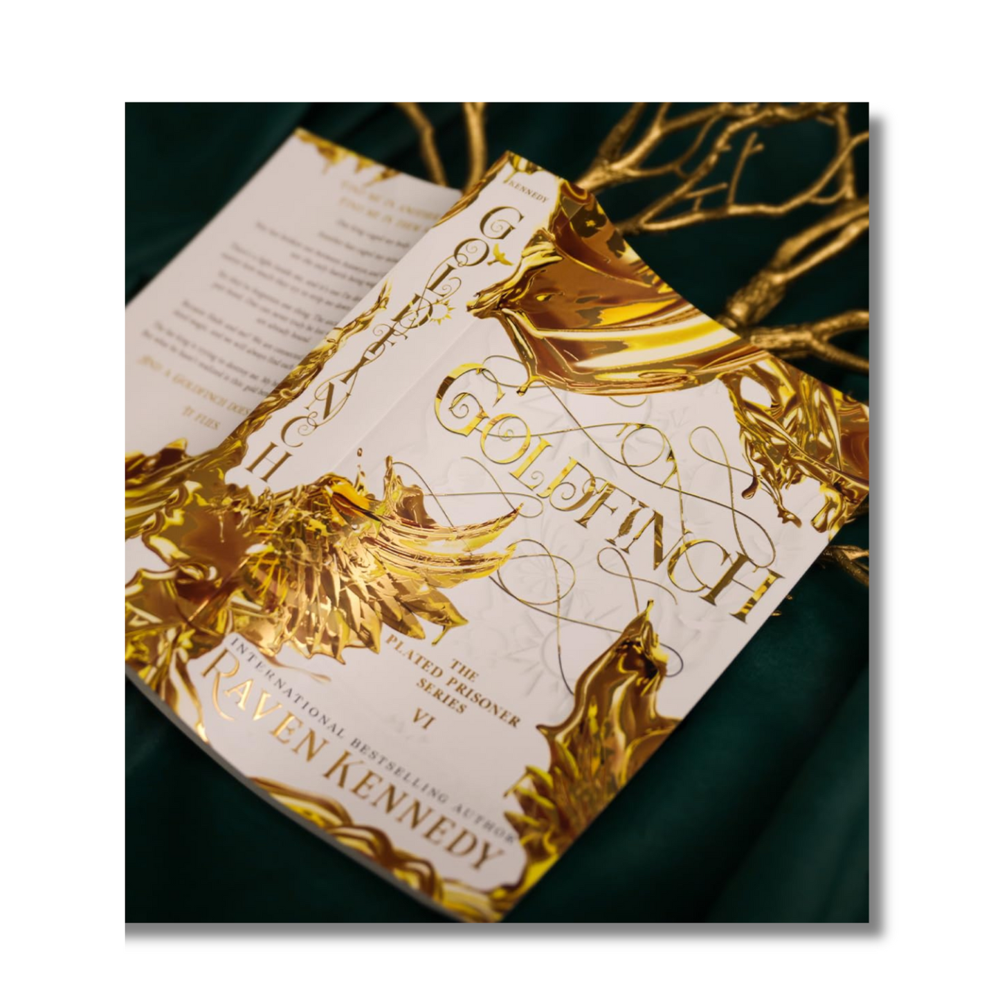 Goldfinch: The Plated Prisoner Series #6 By Raven Kennedy (Paperback)