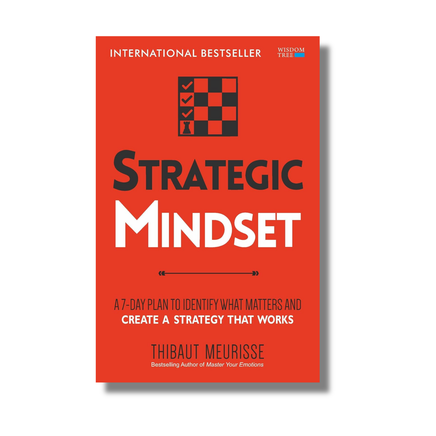 Strategic Mindset: A 7-Day Plan to Identify What Matters and Create a Strategy that Works By Thibaut Meurisse (Paperback)