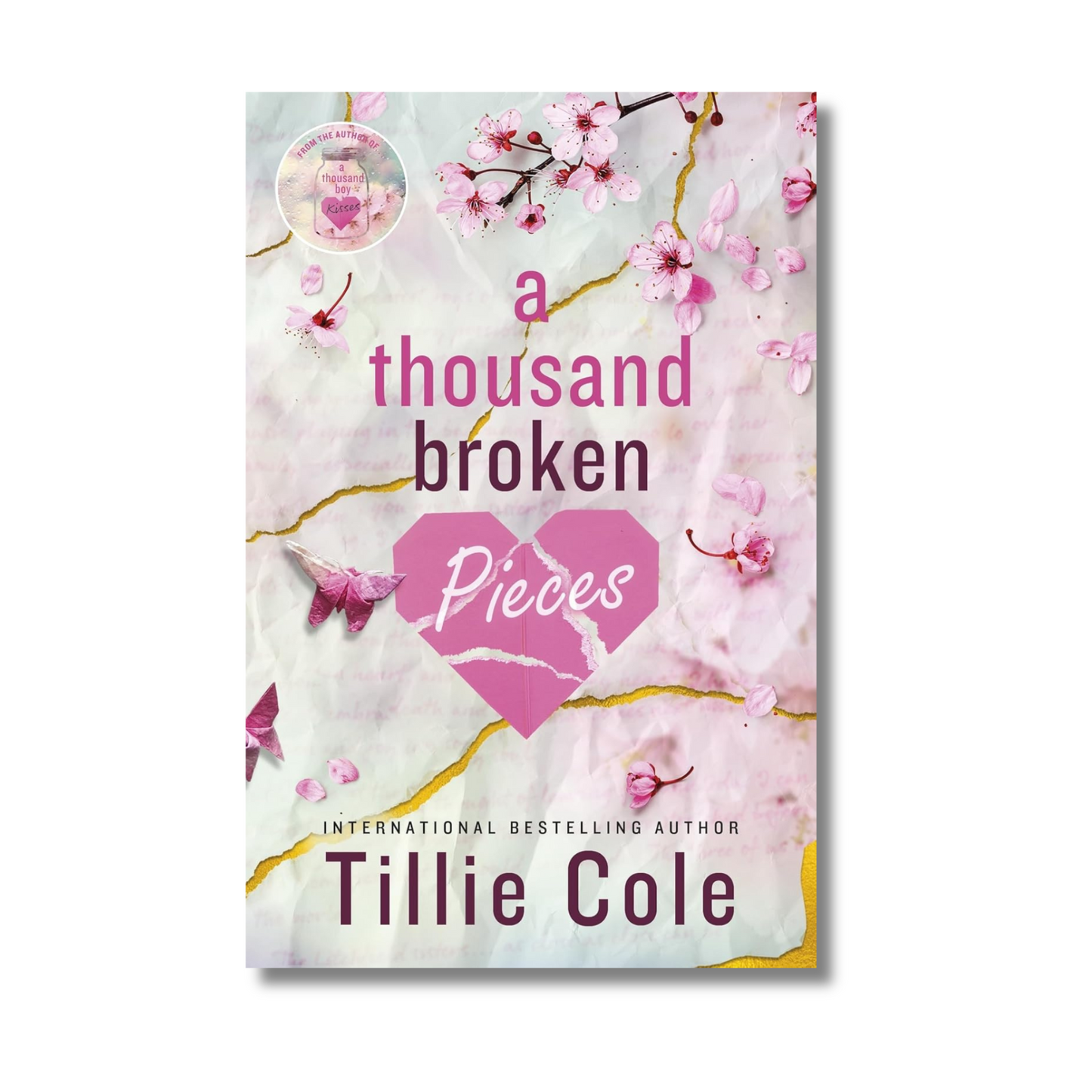 A Thousand Broken Pieces By Penguin (Paperback)