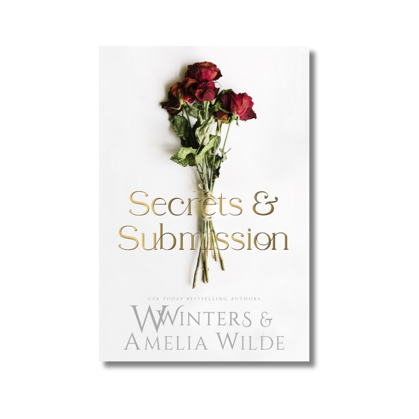 Secrets & Submission By Willow Winters (Paperback)
