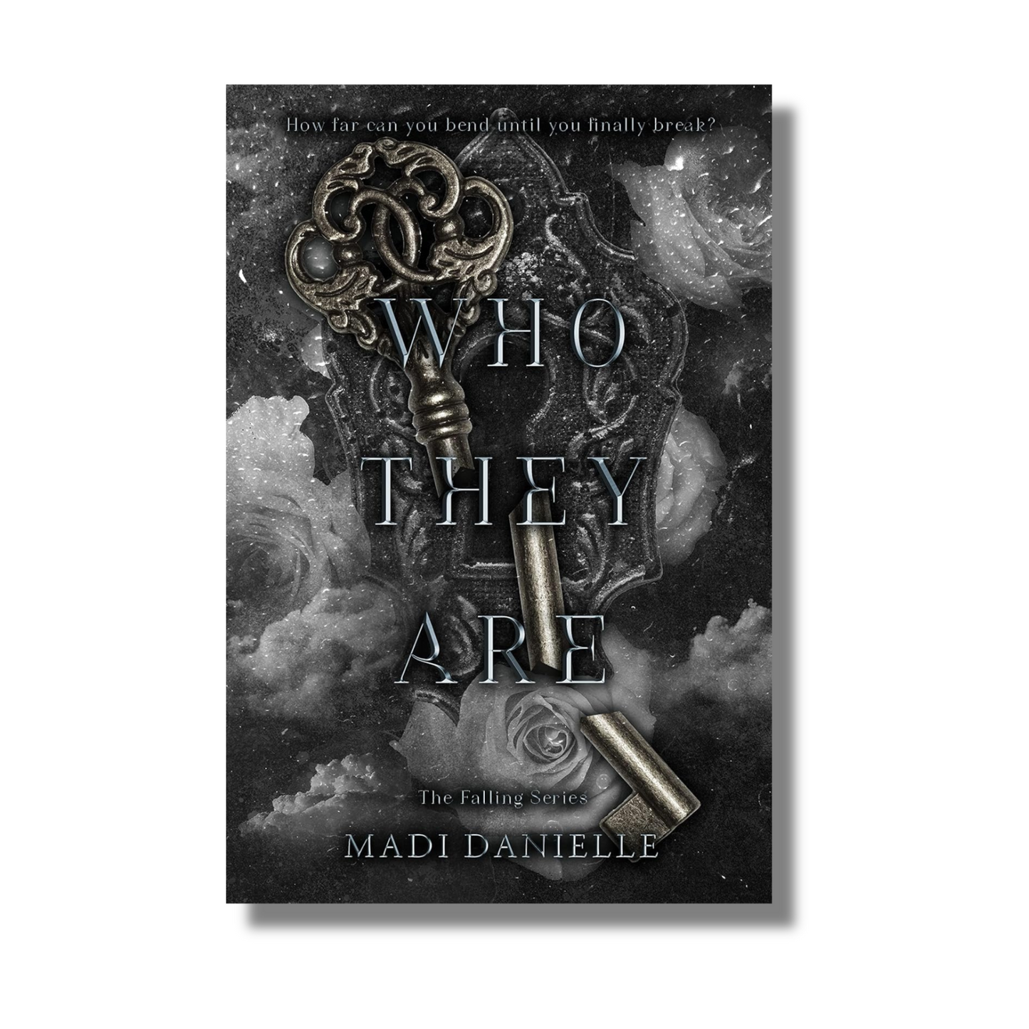 Who They Are By Madi Danielle (Paperback)