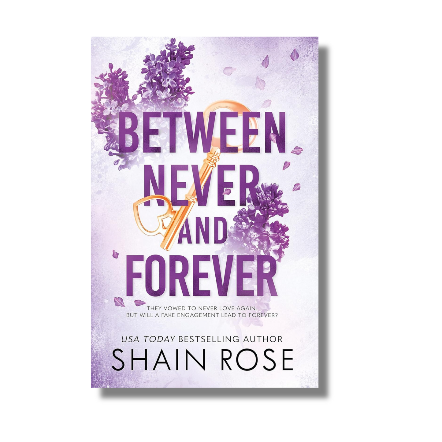 Between Never and Forever By Shain Rose (Paperback)
