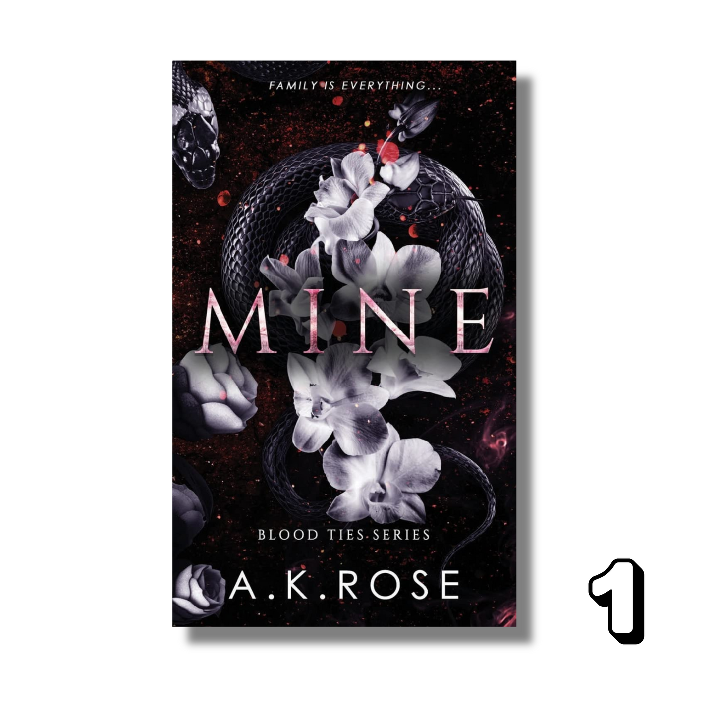 [Combo] Blood Ties Secrets: 6 Books By A.K. Rose (Paperback)