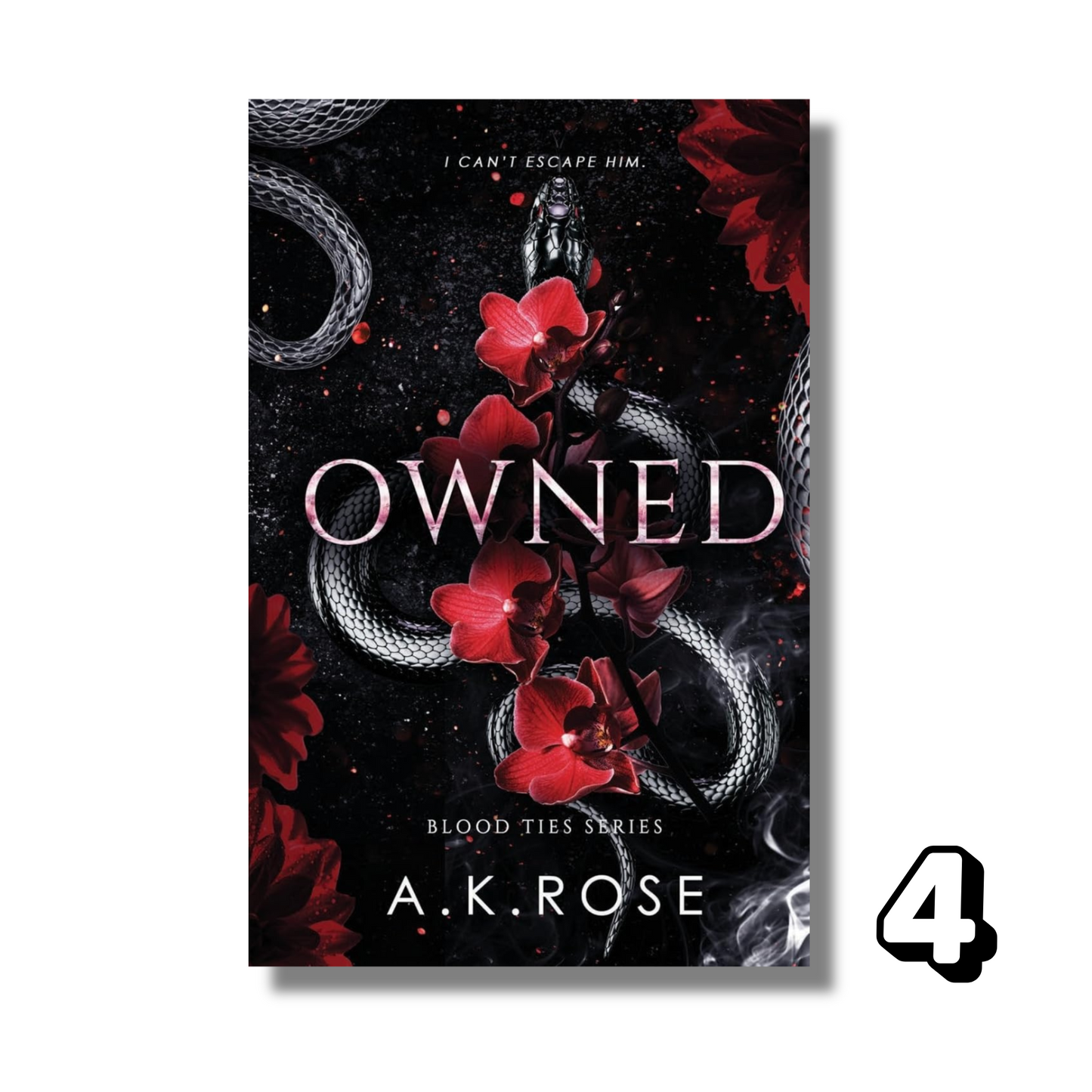 [Combo] Blood Ties Secrets: 6 Books By A.K. Rose (Paperback)
