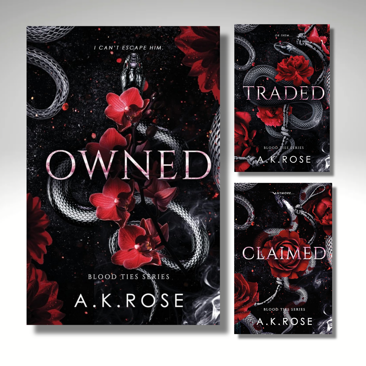 [Combo] Blood Ties Secrets Vol 4-6 By A.K. Rose (Paperback)
