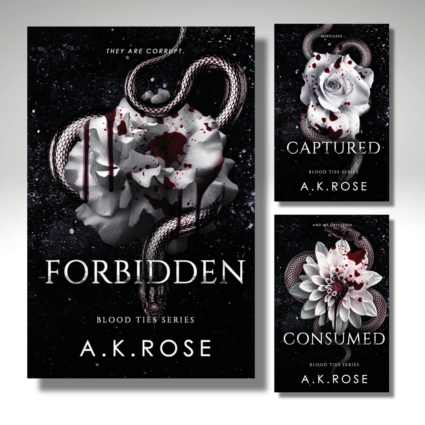 [Combo] Blood Ties Secrets Vol 7-9 By A.K. Rose (Paperback)