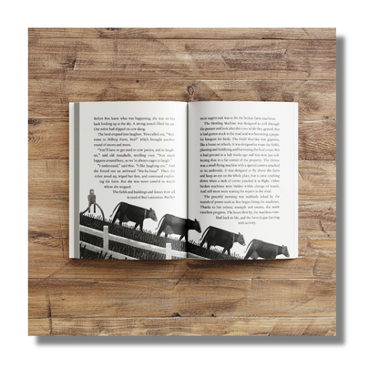 The Wild Robot Escapes By Peter Brown (Paperback)