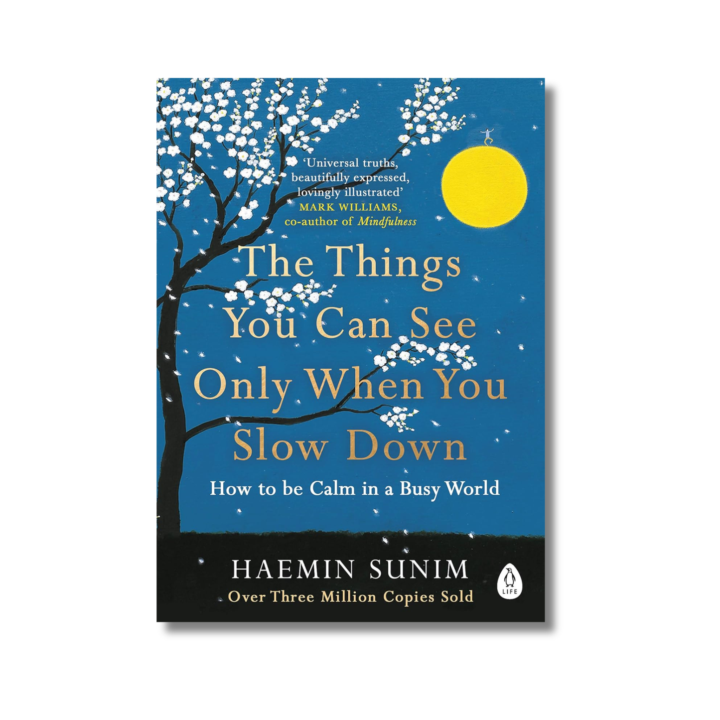 The Things You Can See Only When You Slow Down By Haemin Sunim (Paperback)