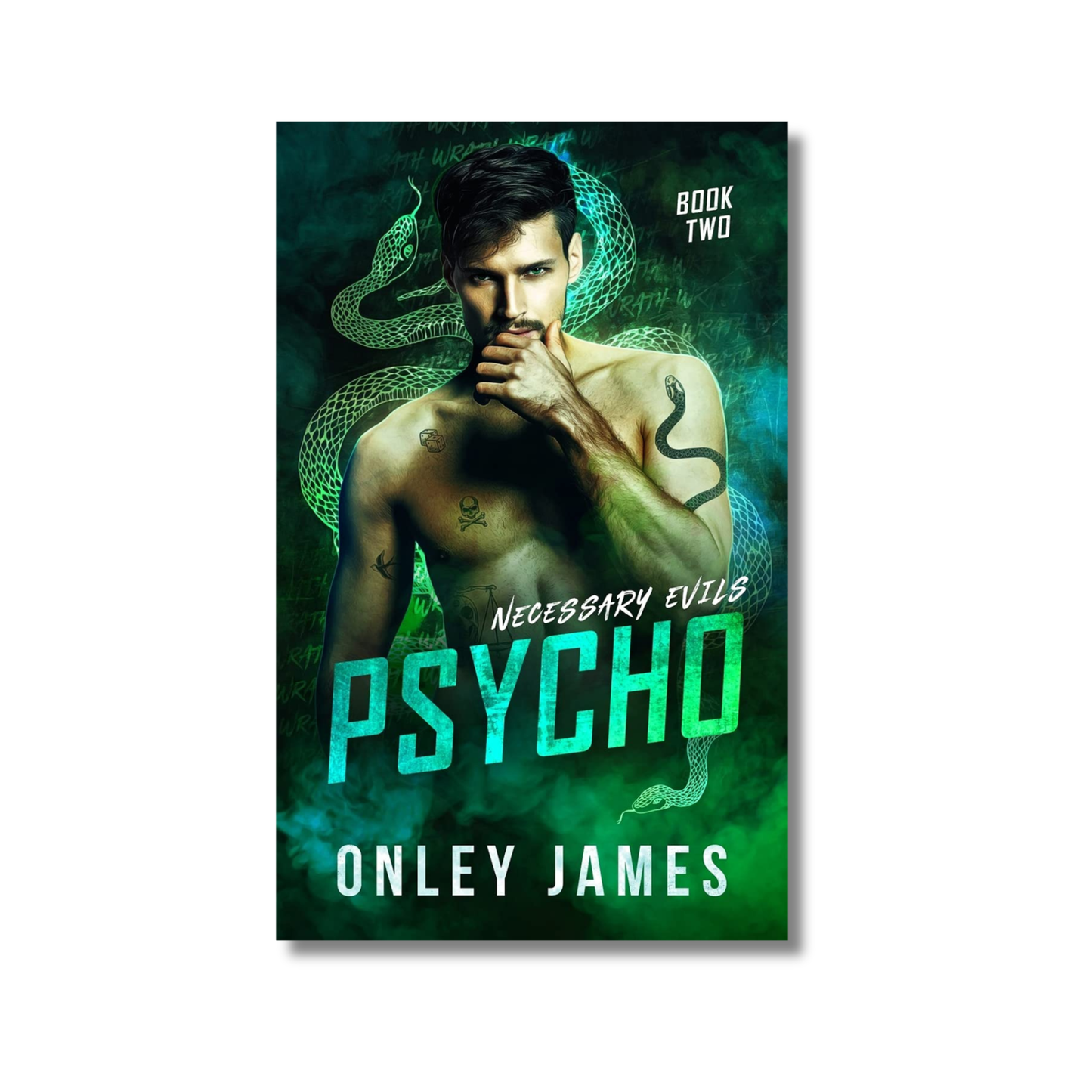 Psycho: Necessary Evils Series #2 By Onley James (Paperback)