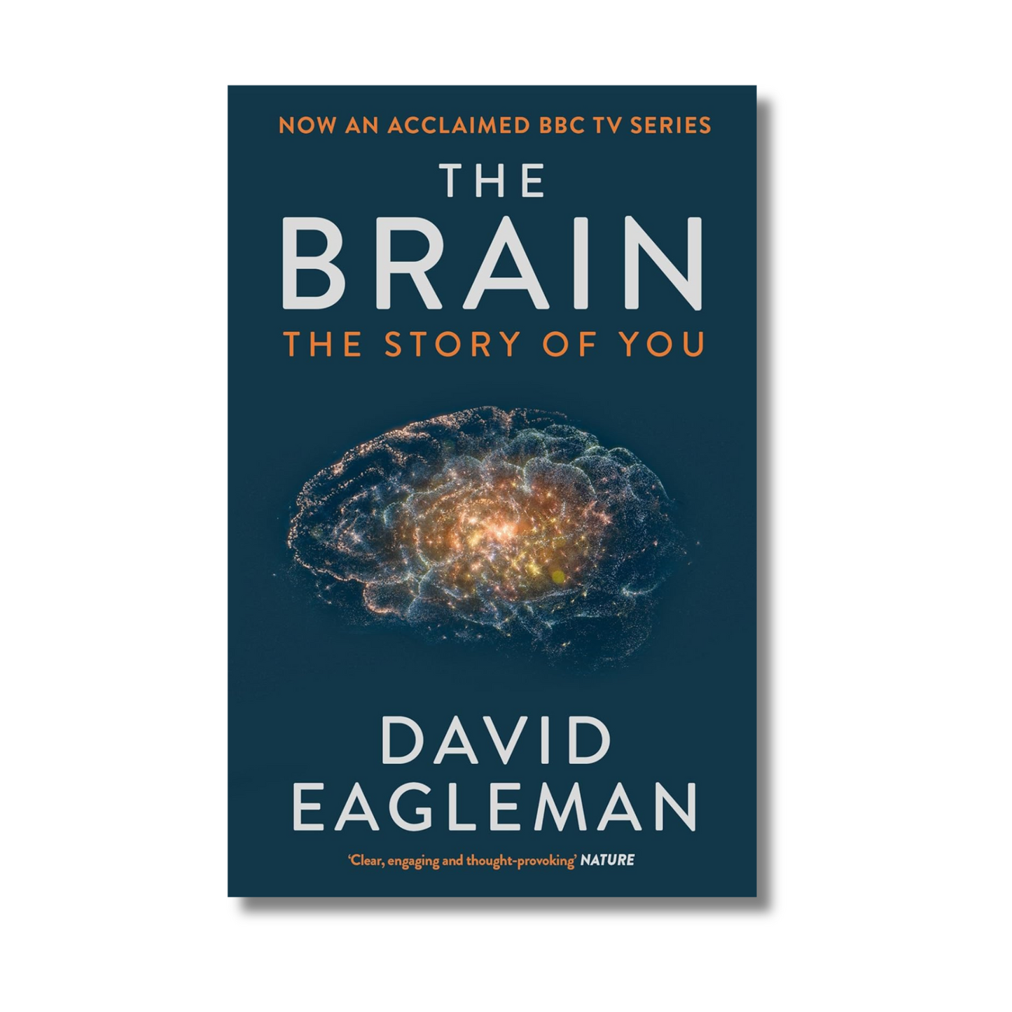 The Brain By David Eagleman (Paperback)