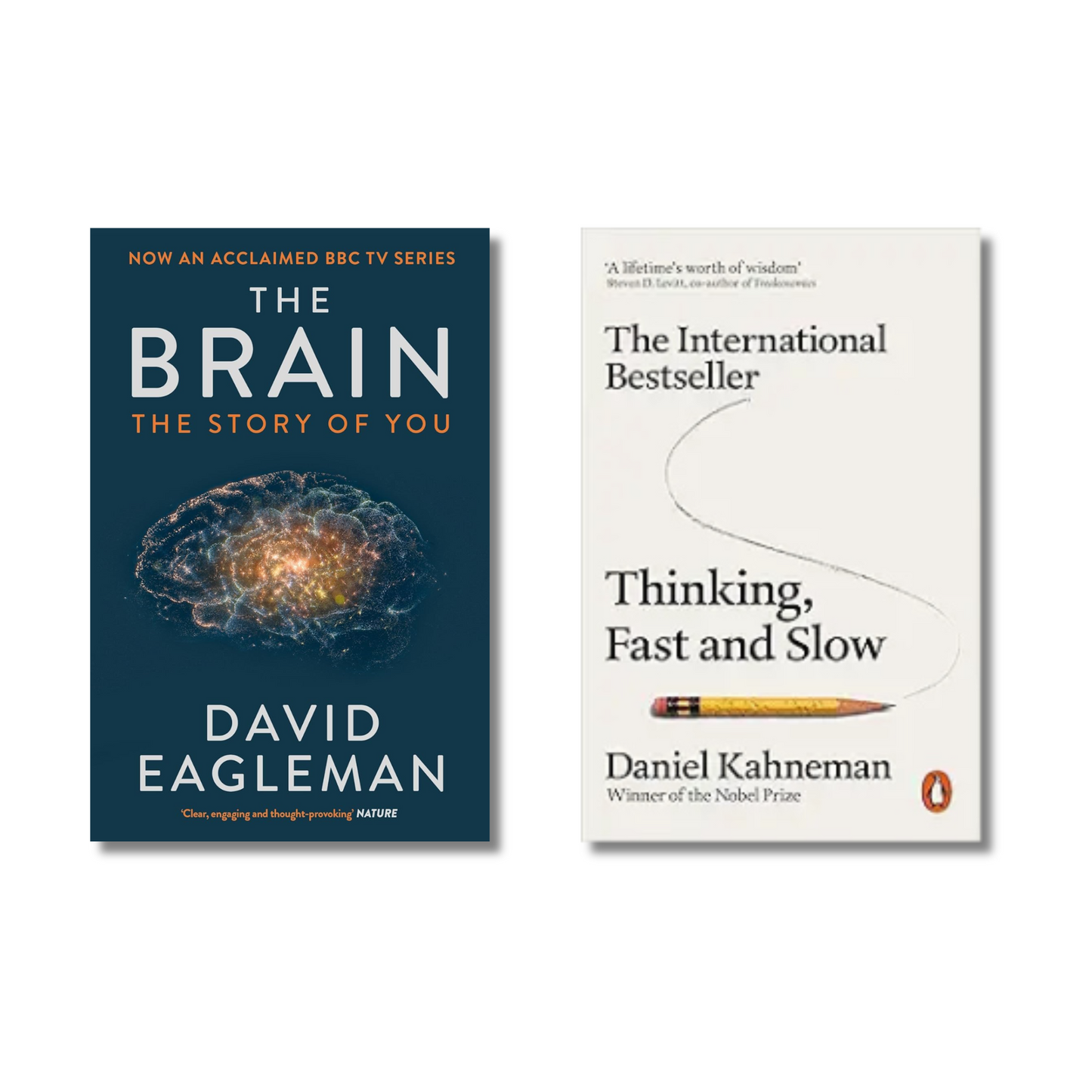 (Combo 2 Book) The Brain + Thinking, Fast and Slow (Paperback)