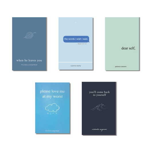 (Combo 5 Book) When he leaves you + The Word I wish I said + Dear self + Please love me at my worst + You’ll come back to yourself (Paperback)