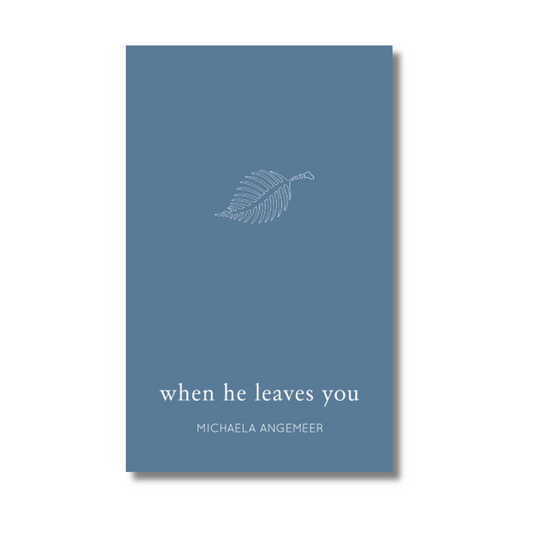 When He Leaves You By Michaela Angemeer (Paperback)