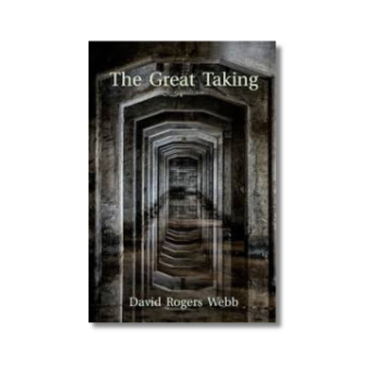 The Great Taking By David Rogers Webb (Paperback)