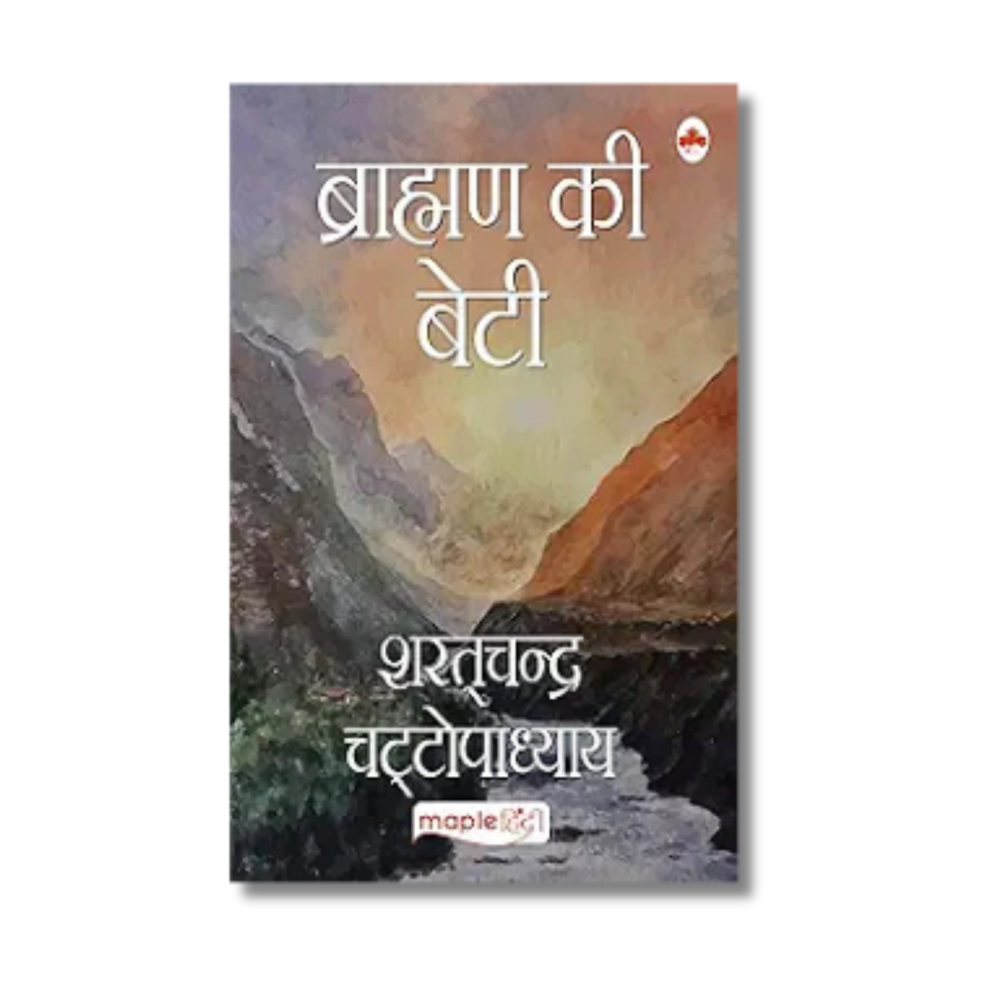 Brahaman ki Beti [Hindi] By Sharatchandra Chattopadhyaya (Paperback)